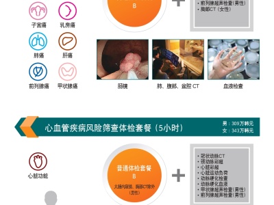 3__2024_hai_wai_huan_zhe_ti_jian_xiang_mu_jie_shao_shu_oegug-in_peulogeulaem_beulosyueo_jung-gug-eo_page-0006