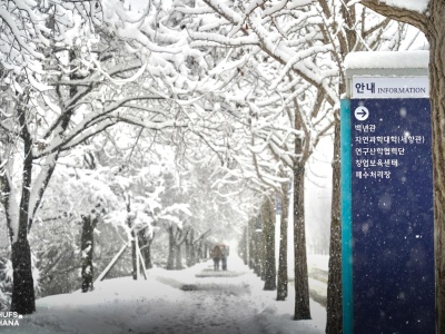 hankuk02