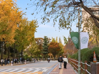 kku06