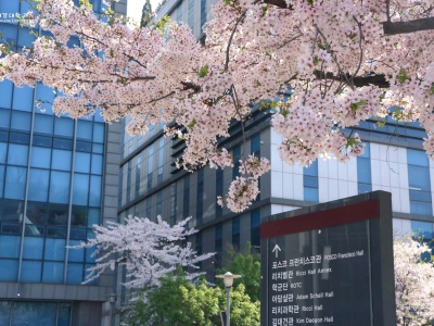 seogang04_609674790_1558850125